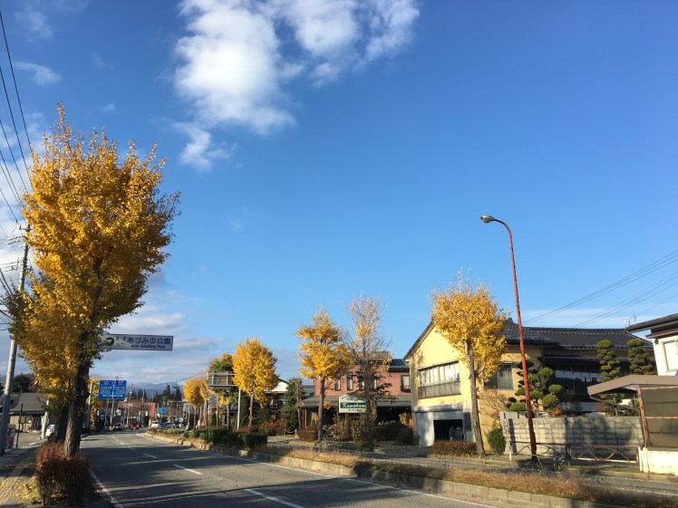 %e3%82%a2%e3%82%a4%e3%82%ad%e3%83%a3%e3%83%83%e3%83%81001%e7%94%a8